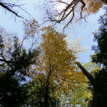 Queer Creek