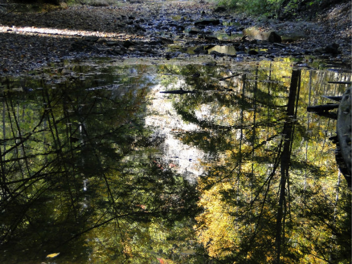Queer Creek