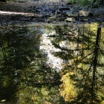 Queer Creek