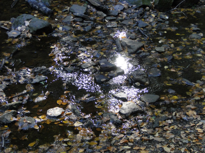 Queer Creek