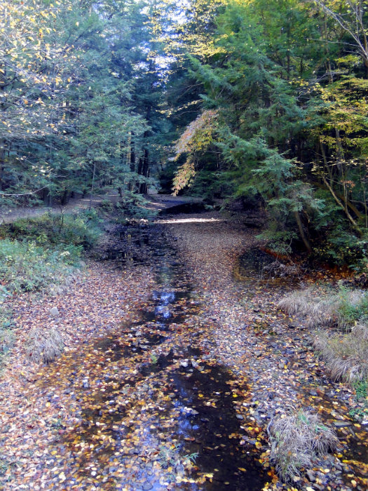 Queer Creek