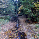 Queer Creek