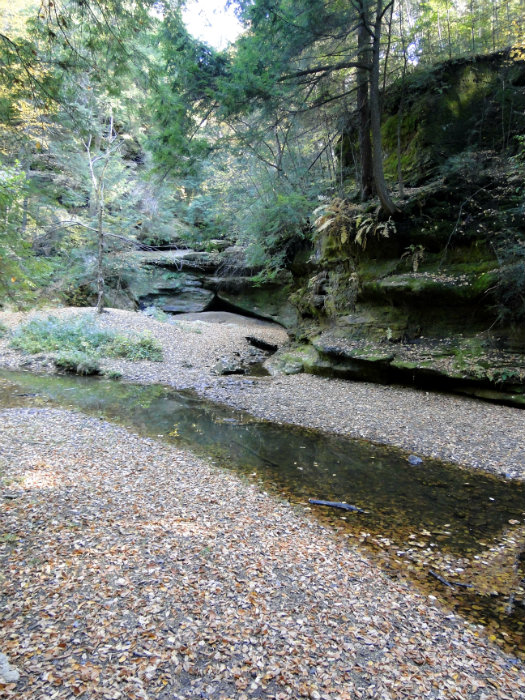 Queer Creek