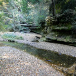 Queer Creek