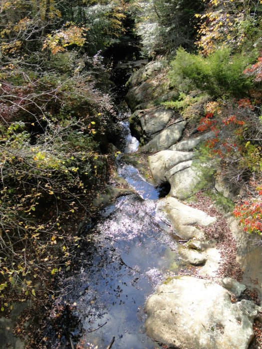 Queer Creek