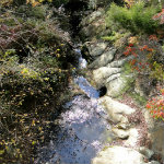 Queer Creek