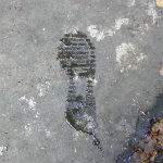 Queer Creek - 10/7/2012