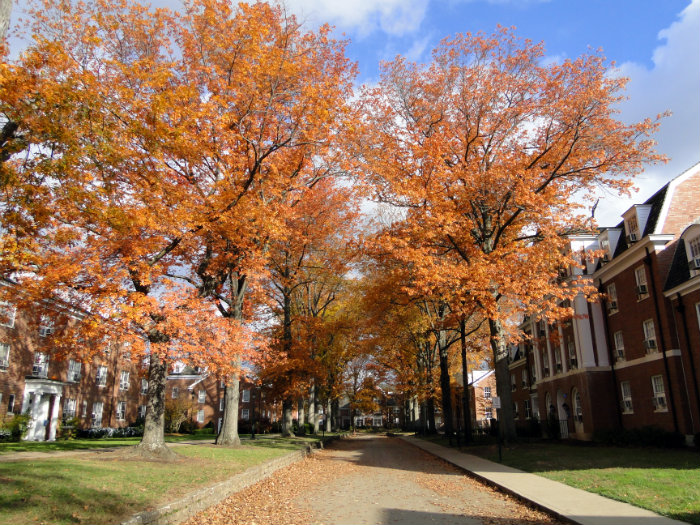 Ohio University