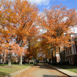 Ohio University