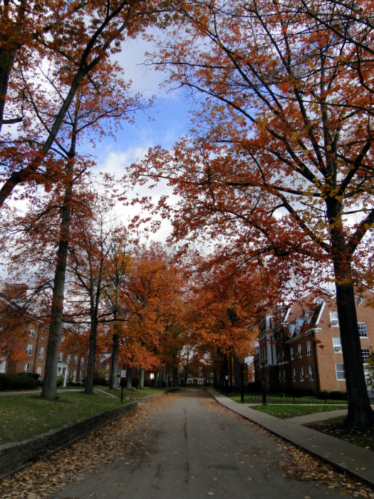Ohio University