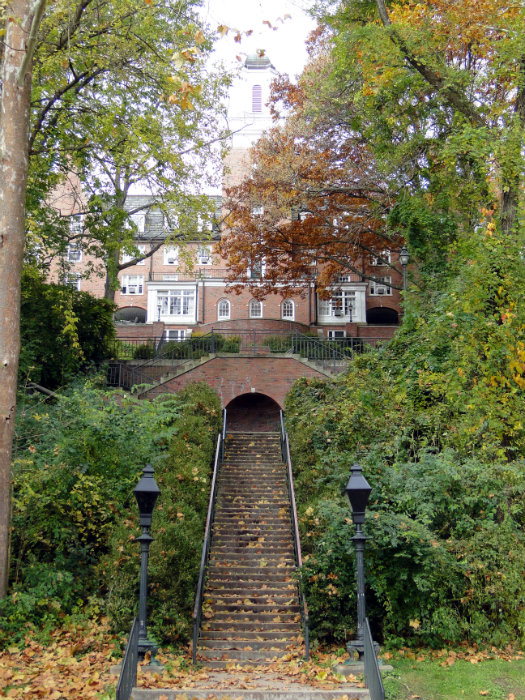 Ohio University