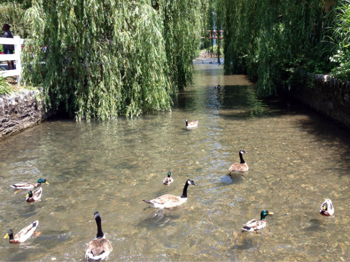 Spring Creek