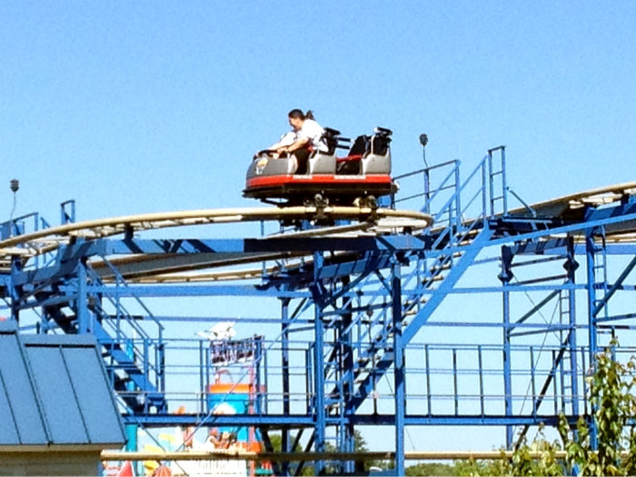 Wild Mouse