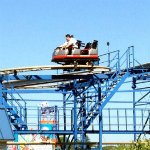Wild Mouse