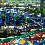 Wild Mouse