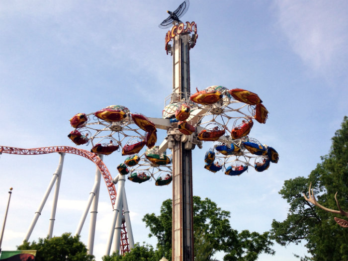 Flying Flacon