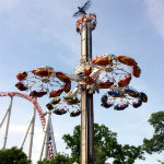 Flying Flacon