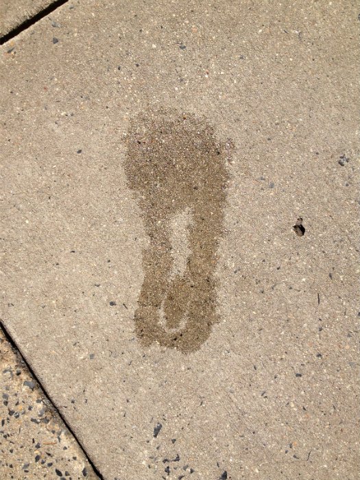 My Footprint