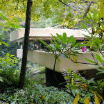 Fallingwater