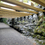 Fallingwater