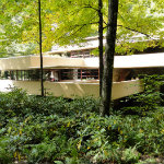 Fallingwater