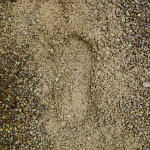My Footprint