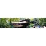 Fallingwater