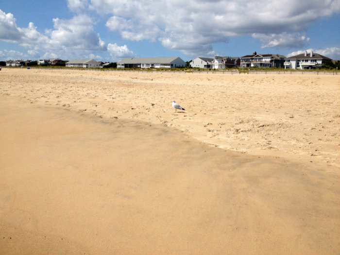 Rehoboth Beach