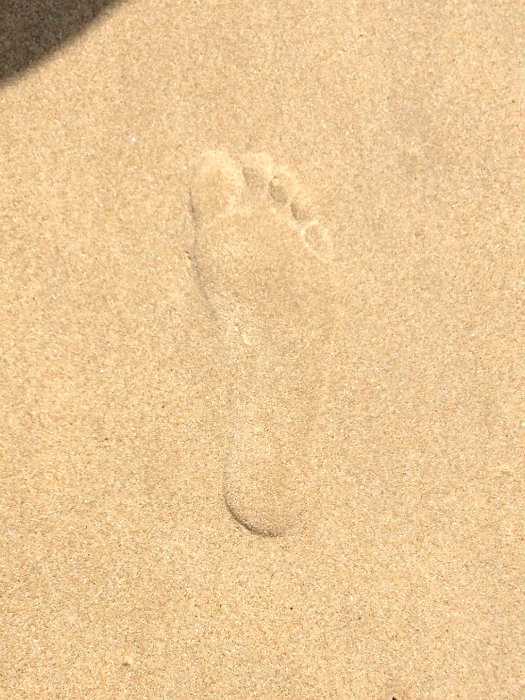 My Footprint