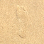My Footprint