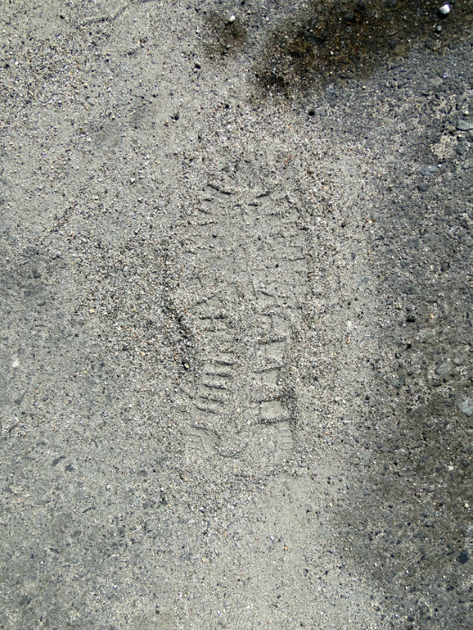 My Footprint