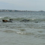 Long Sands Beach