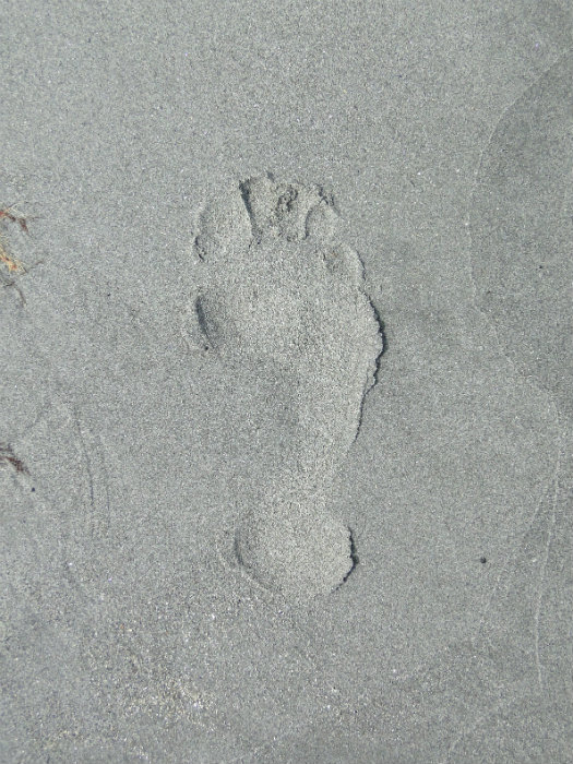 Long Sands Beach