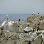 Nubble Lighthouse