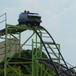 Wildcat