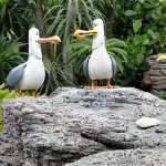 EPCOT