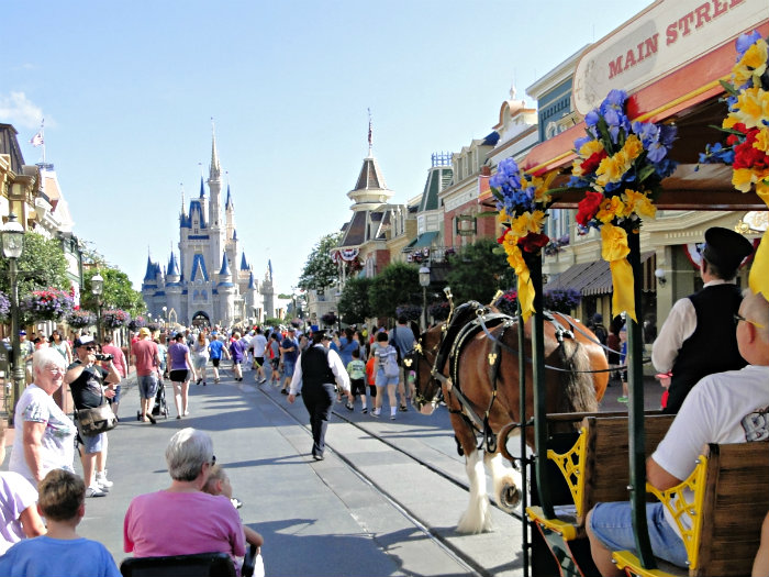 Magic Kingdom