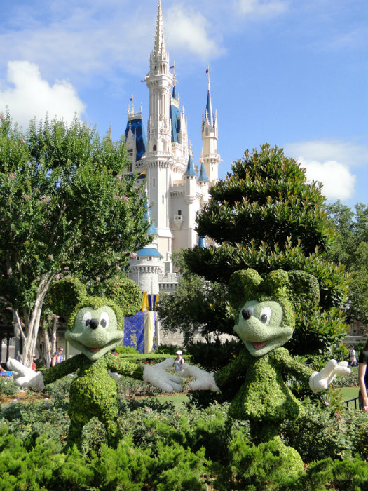 Magic Kingdom