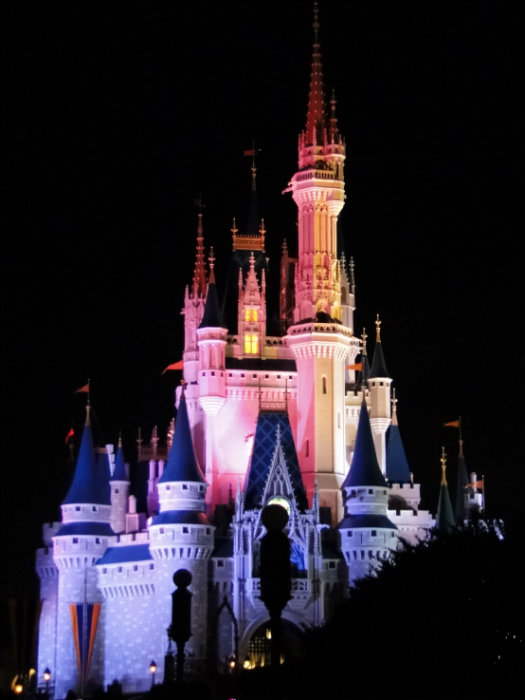 Magic Kingdom