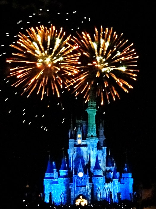 Magic Kingdom