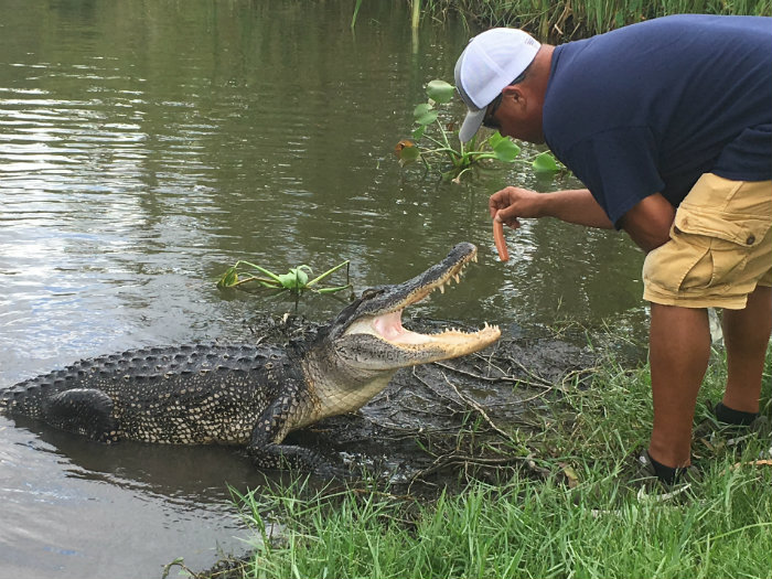 Airboat Adventures