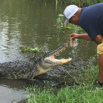 Airboat Adventures