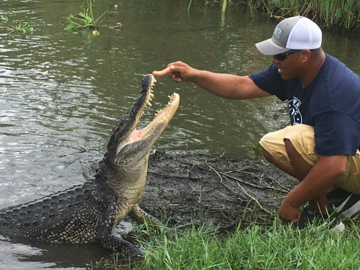Airboat Adventures