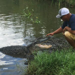 Airboat Adventures