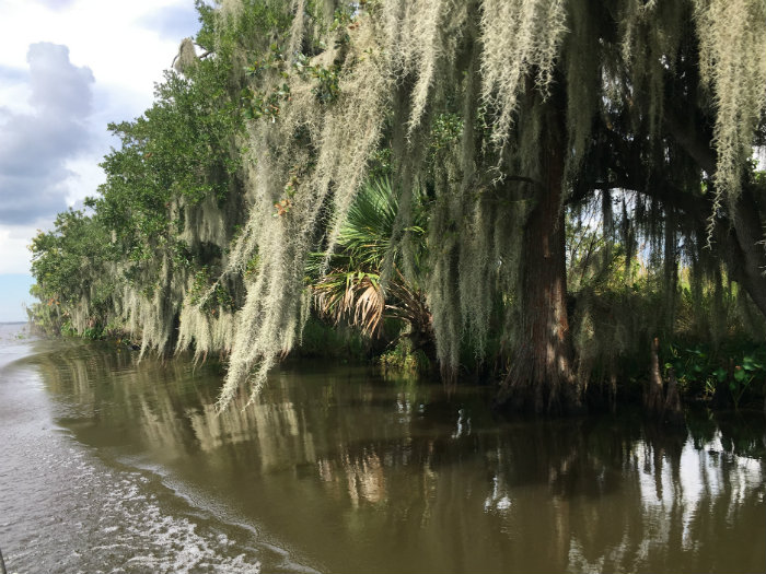 Airboat Adventures