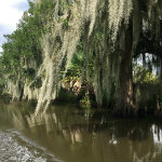 Airboat Adventures