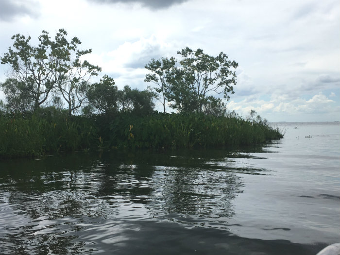 Airboat Adventures