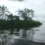 Airboat Adventures