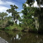 Airboat Adventures