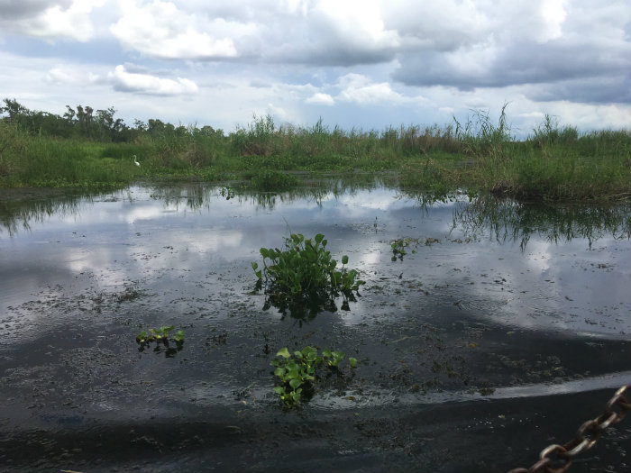 Airboat Adventures